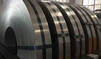 brushed stainless steel trim strips