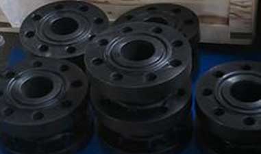 Low Carbon Steel Forged Flange