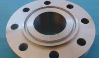 Raised Face Ring-Type Joint SS Flange
